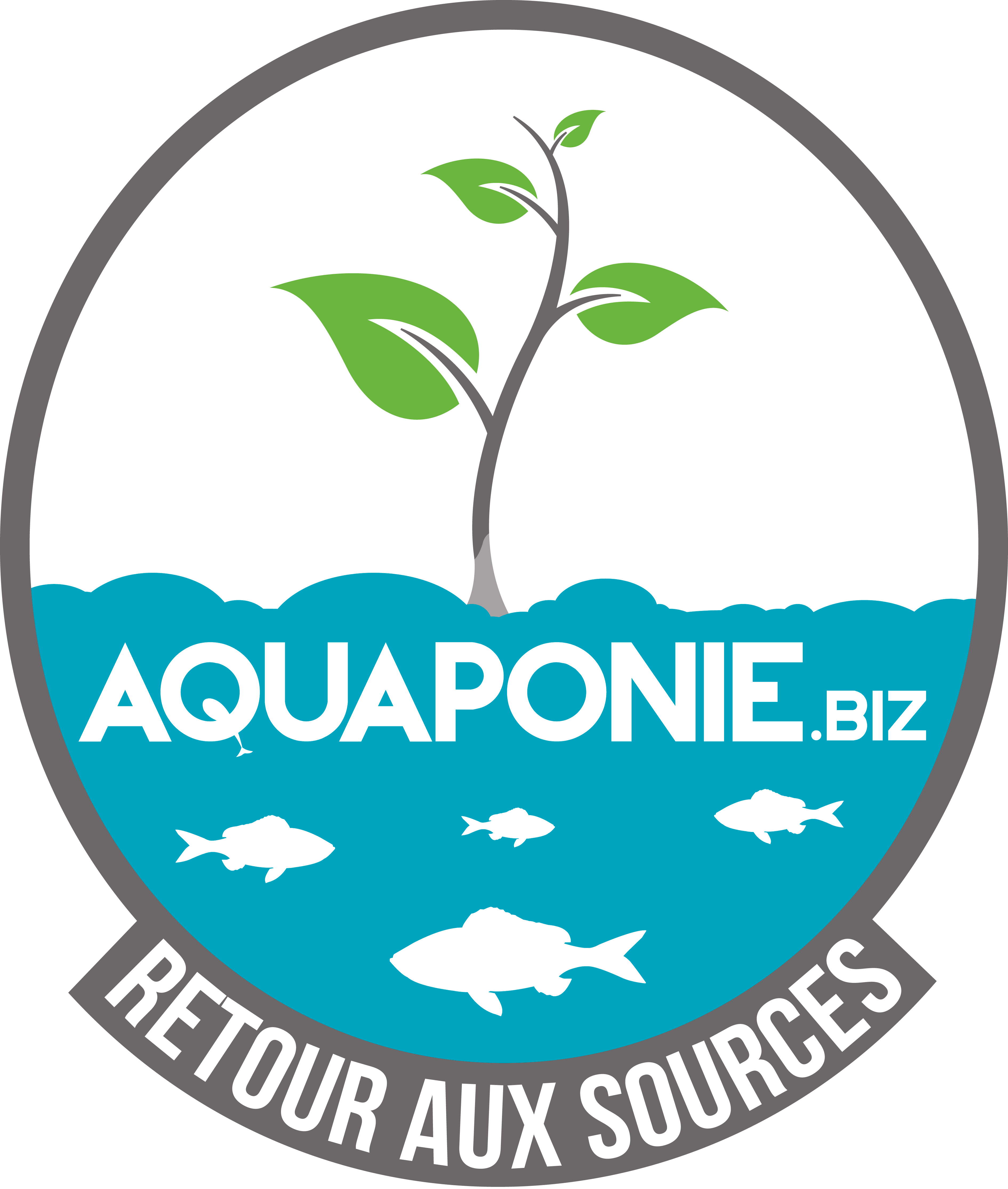 Izibiz Aquaponie & Permaculture